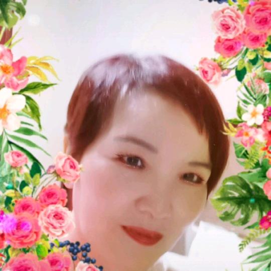 志琴〈5278〉