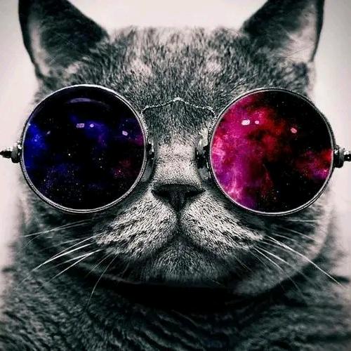 眼镜猫财经