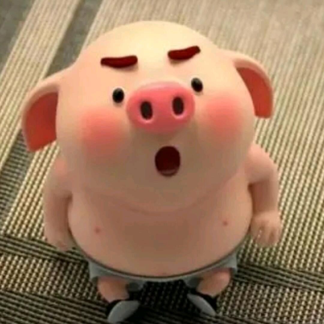 孤单的小猪🐷