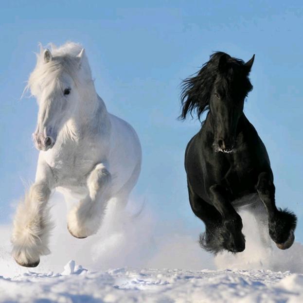 朱老大水饺（日照办事处）