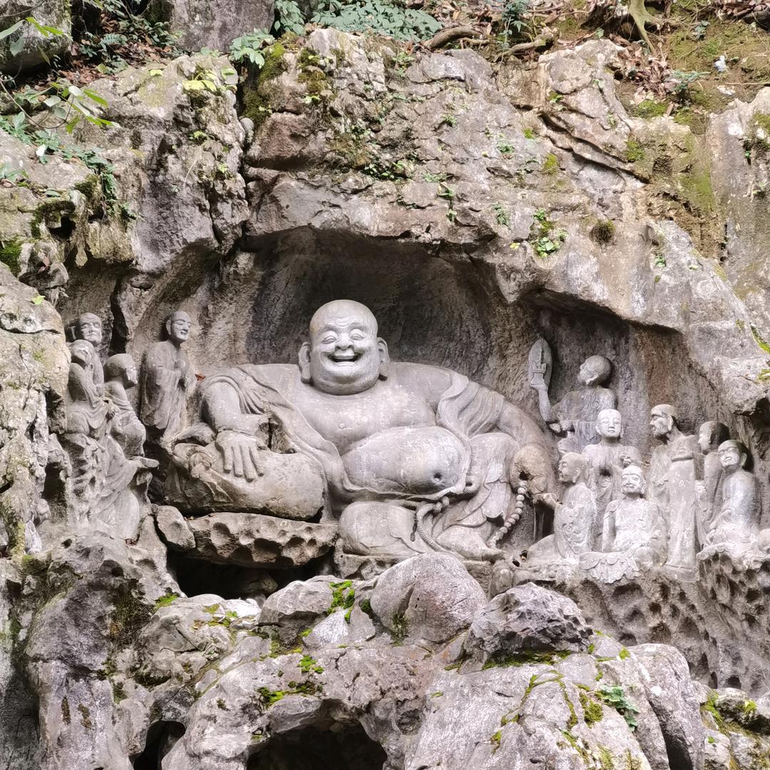 雪候鸟