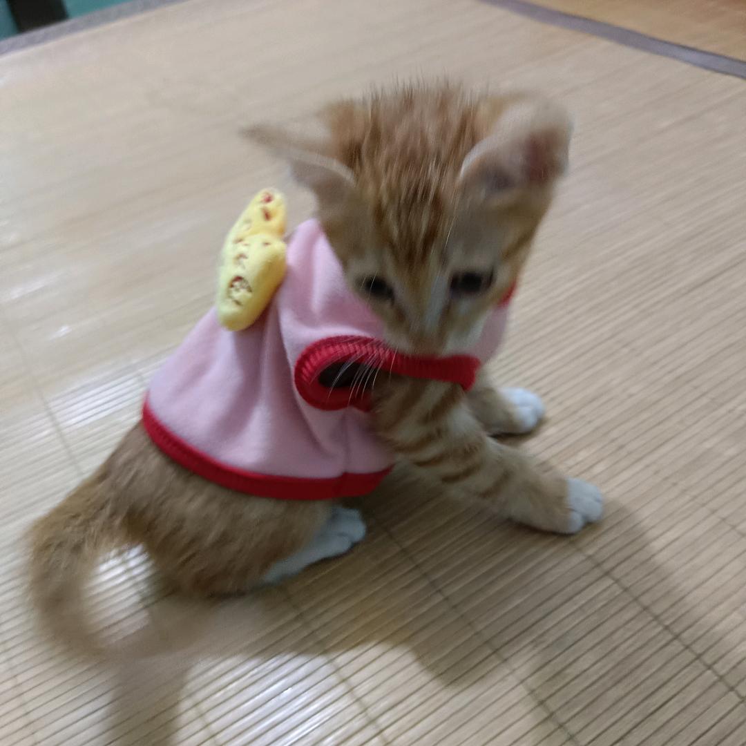 心若一动，泪则千行