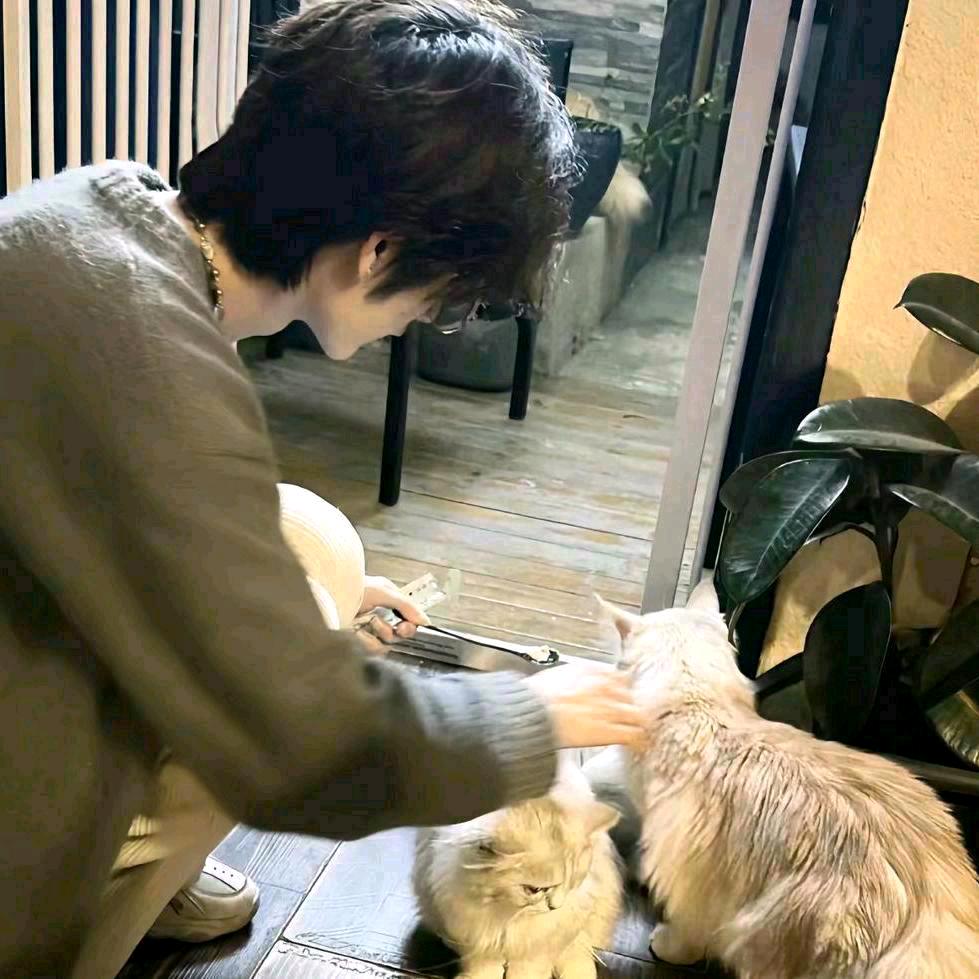 🍁.看山👑空白