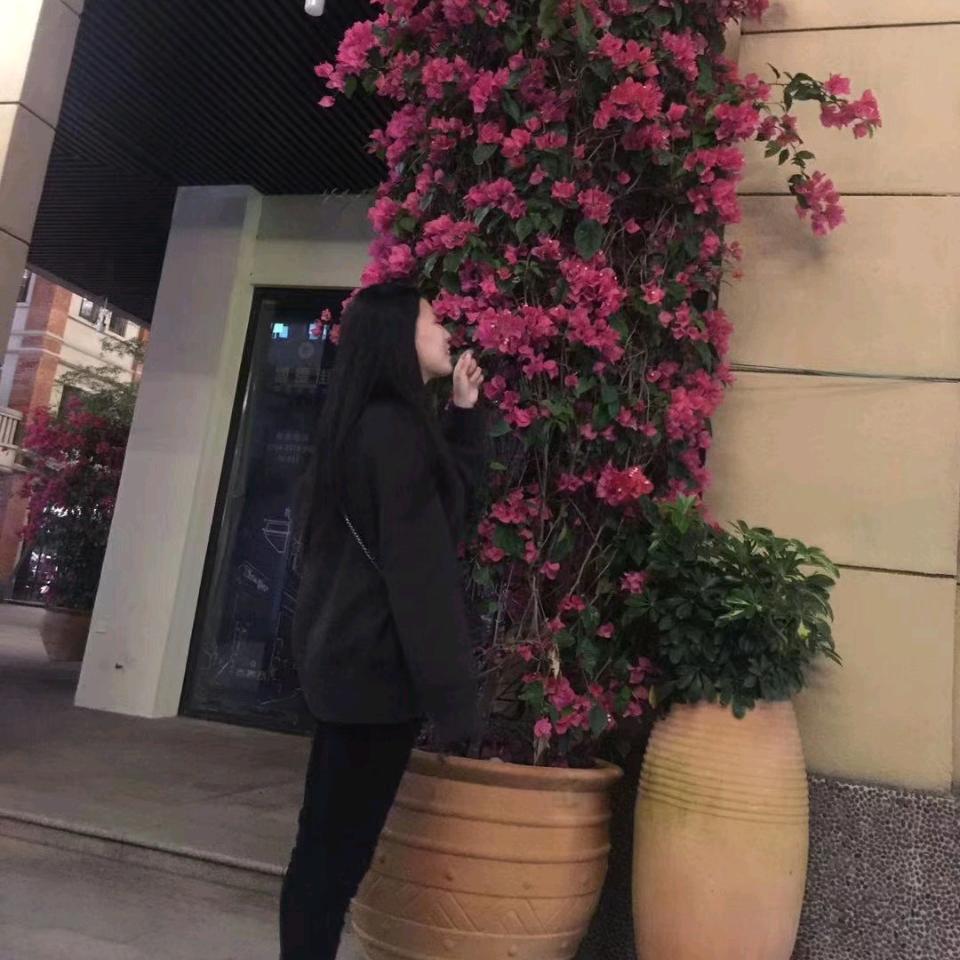 风中的承诺