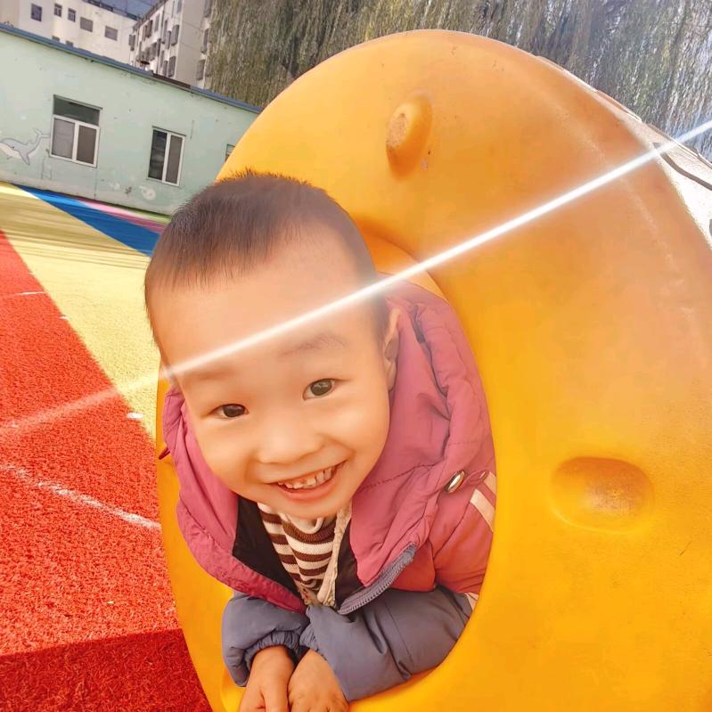 情愿