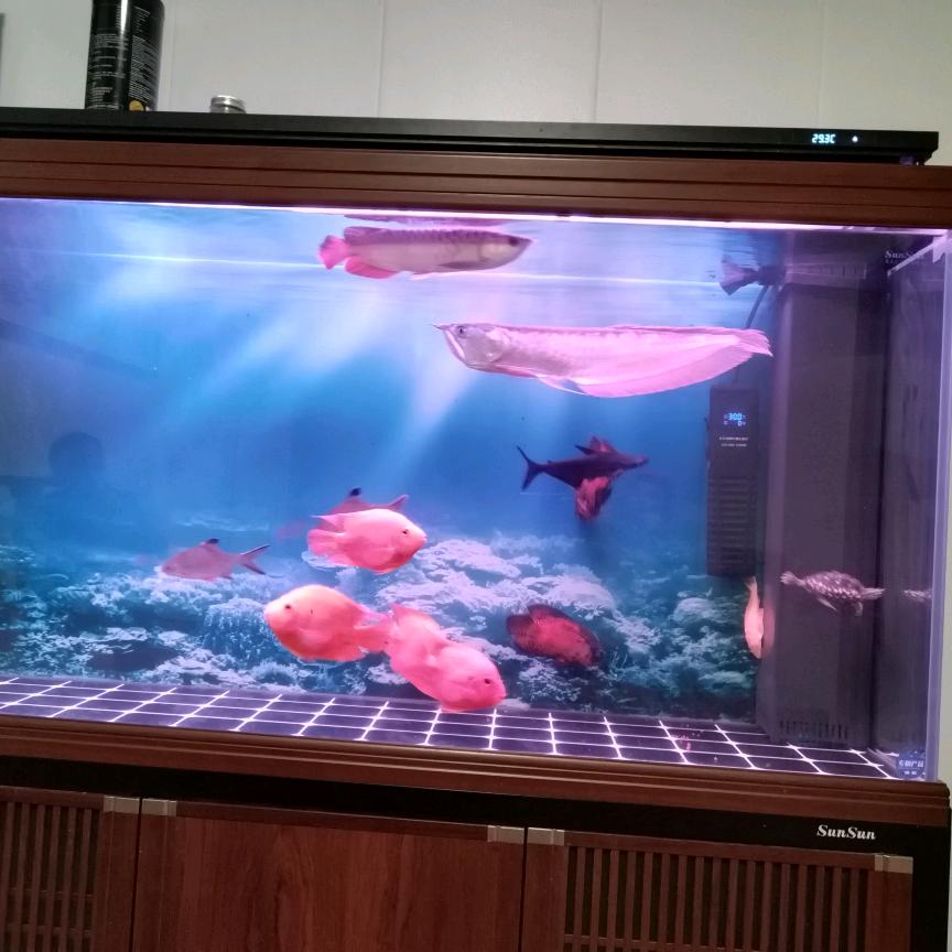 新河装饰材料批发 仓储式