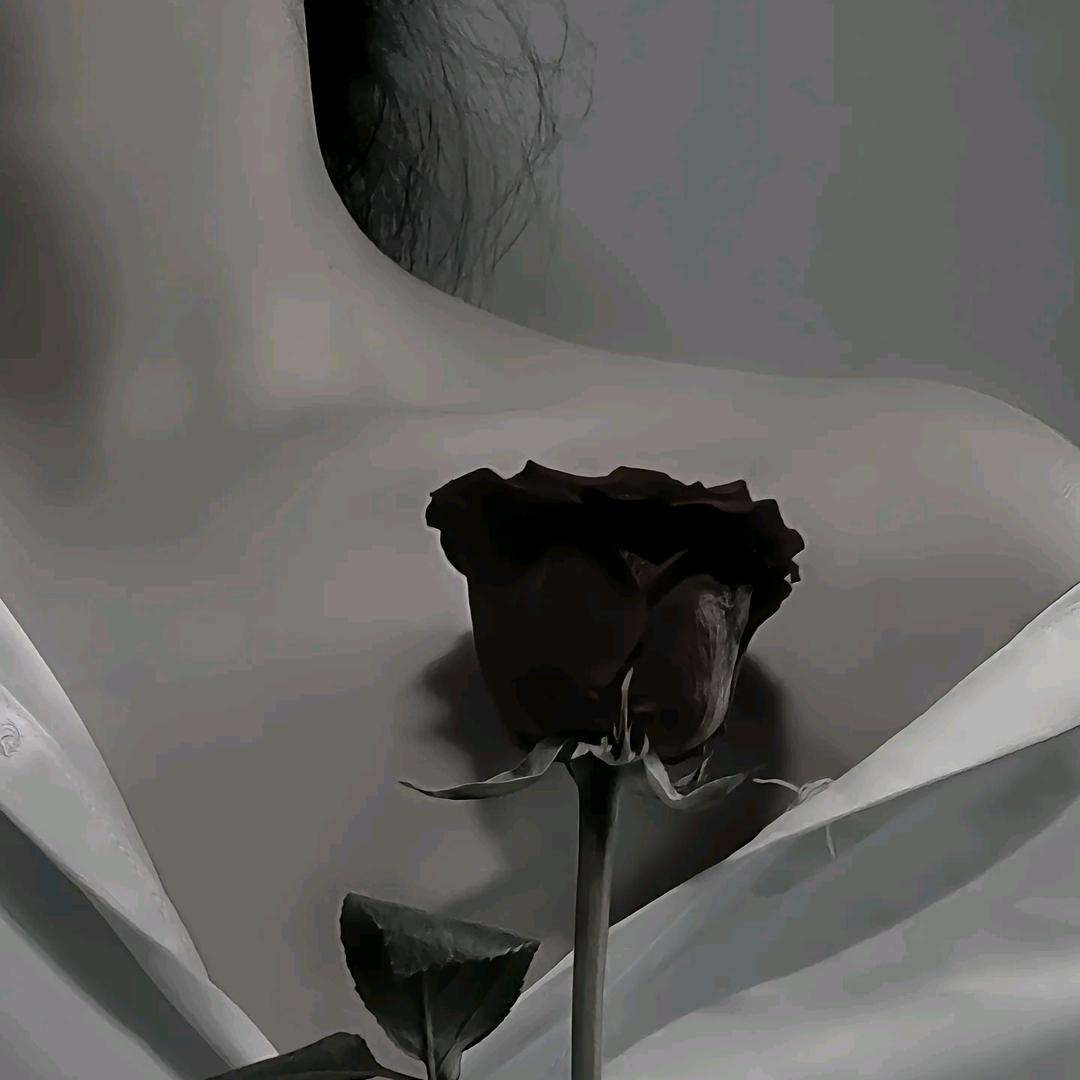 @雪儿花坊@