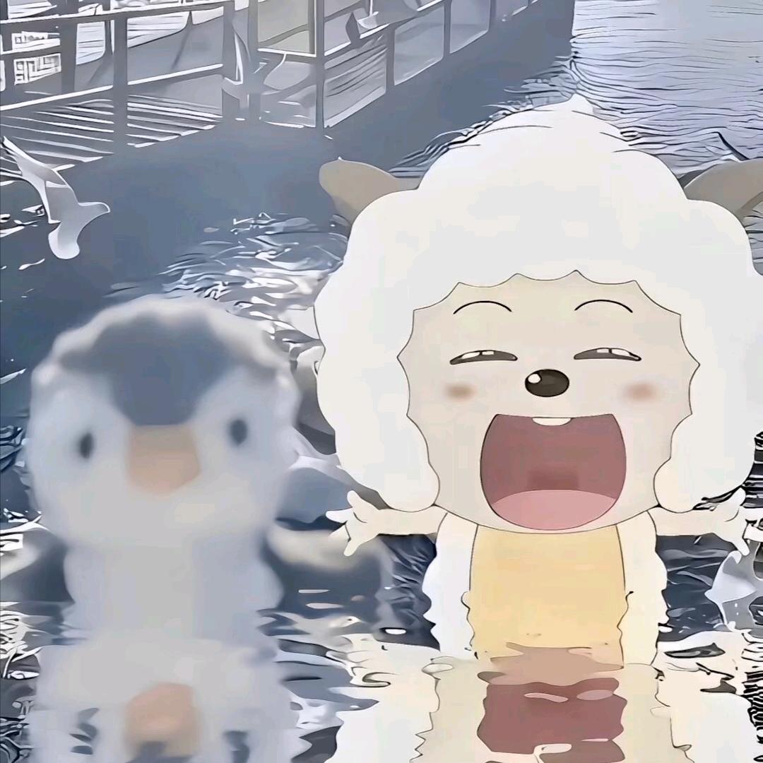 顾兮
