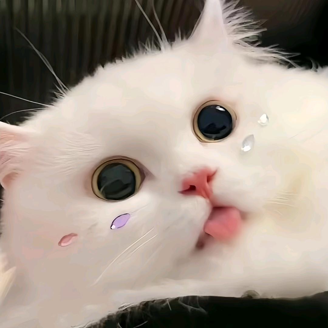 一一の骄阳🤍