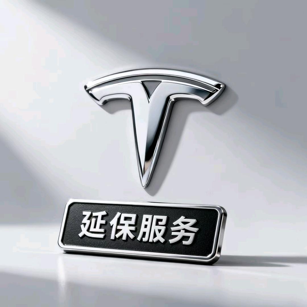 全国特斯拉延保