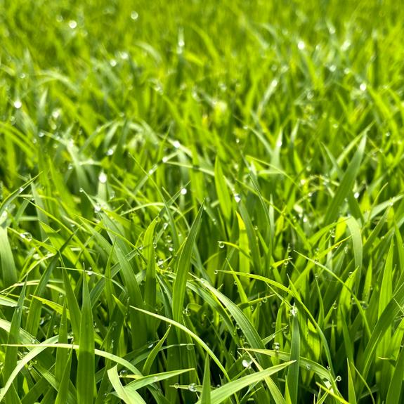 哎💹跟我来🤑🤑