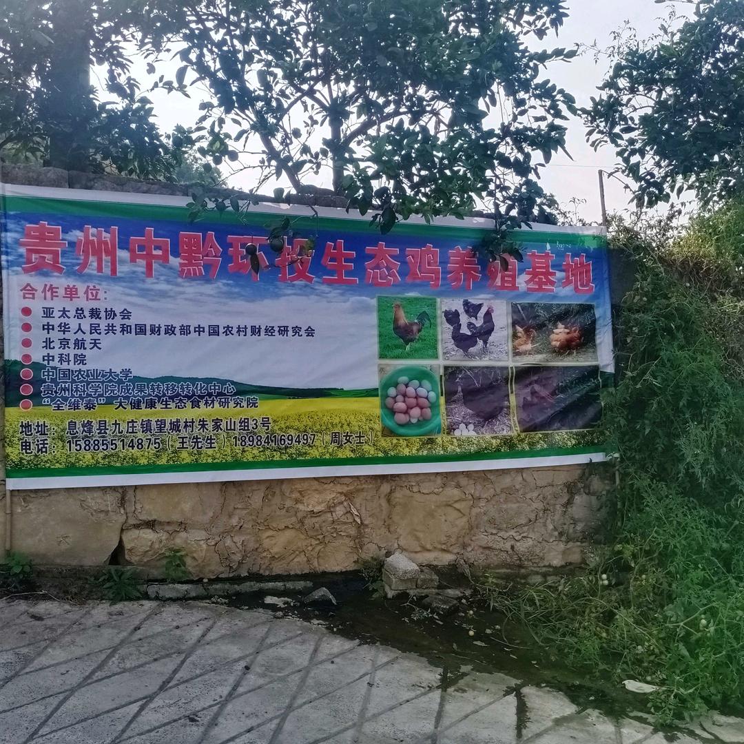 中黔环投息烽生态养殖基地
