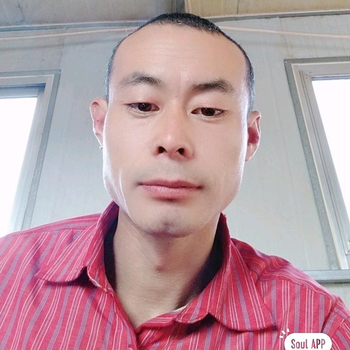 庆投意合