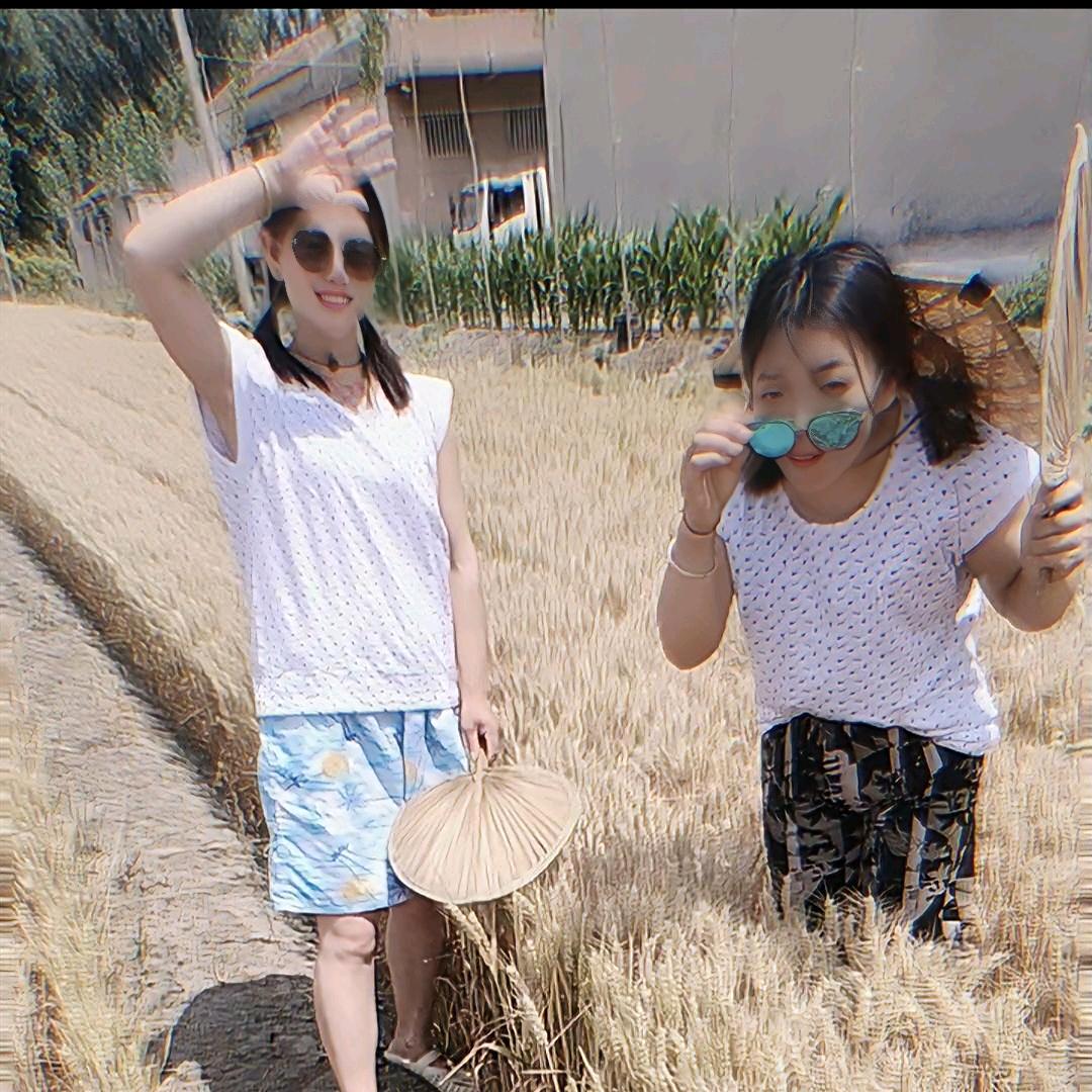 师来运转（橱窗有好物）