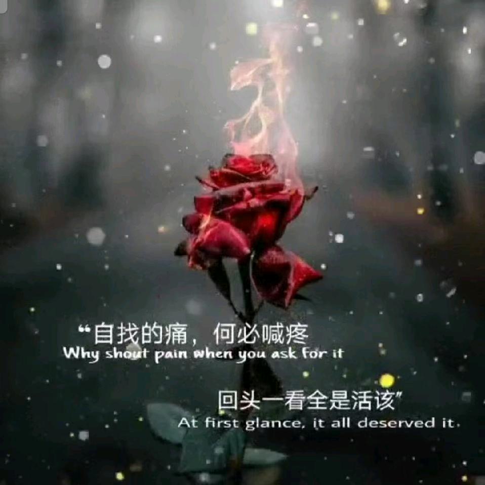 ꧁꫞꯭风雨相随꫞꧂