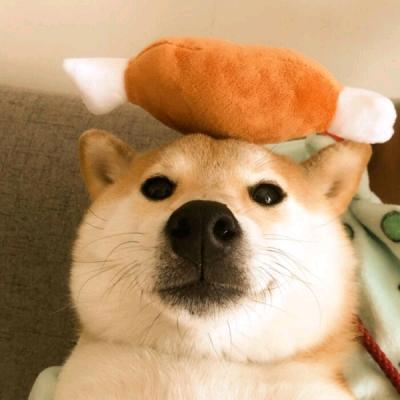 isjssj