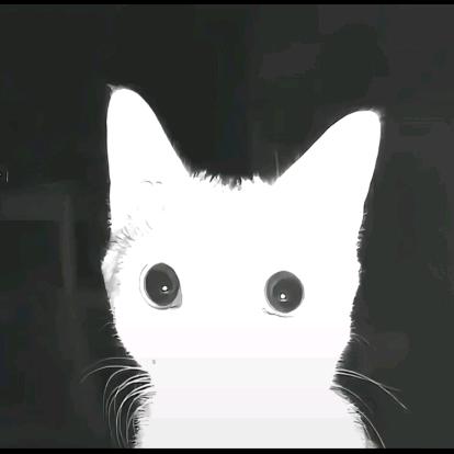 启y