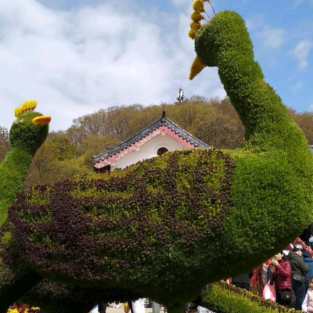人生如茶