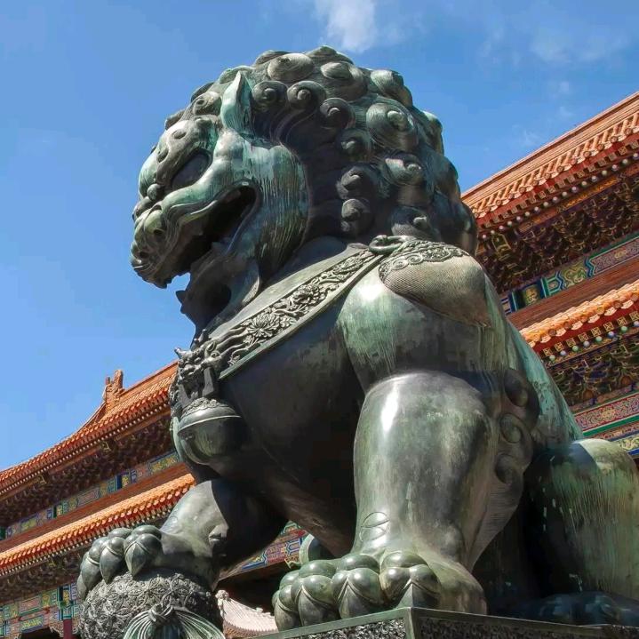 守护风信子