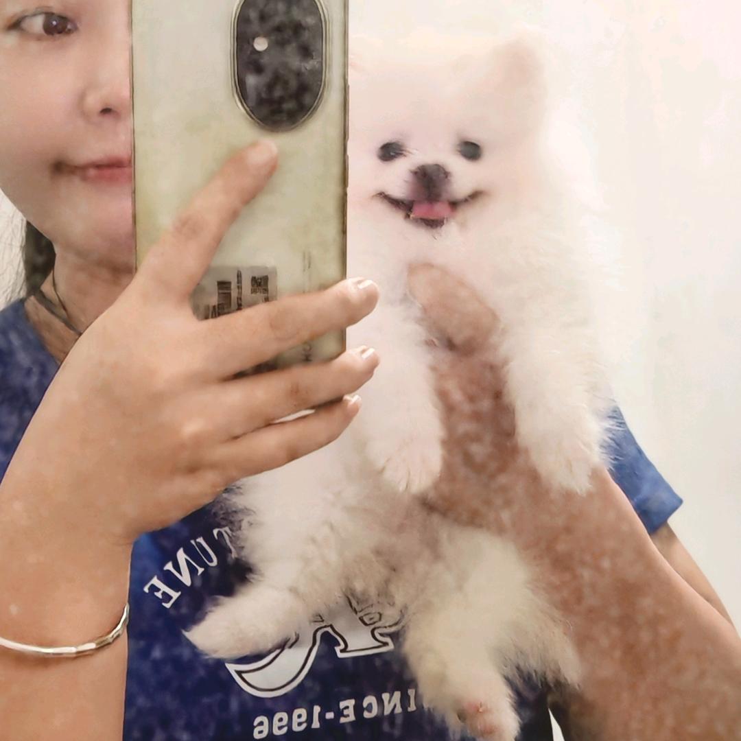 晓時