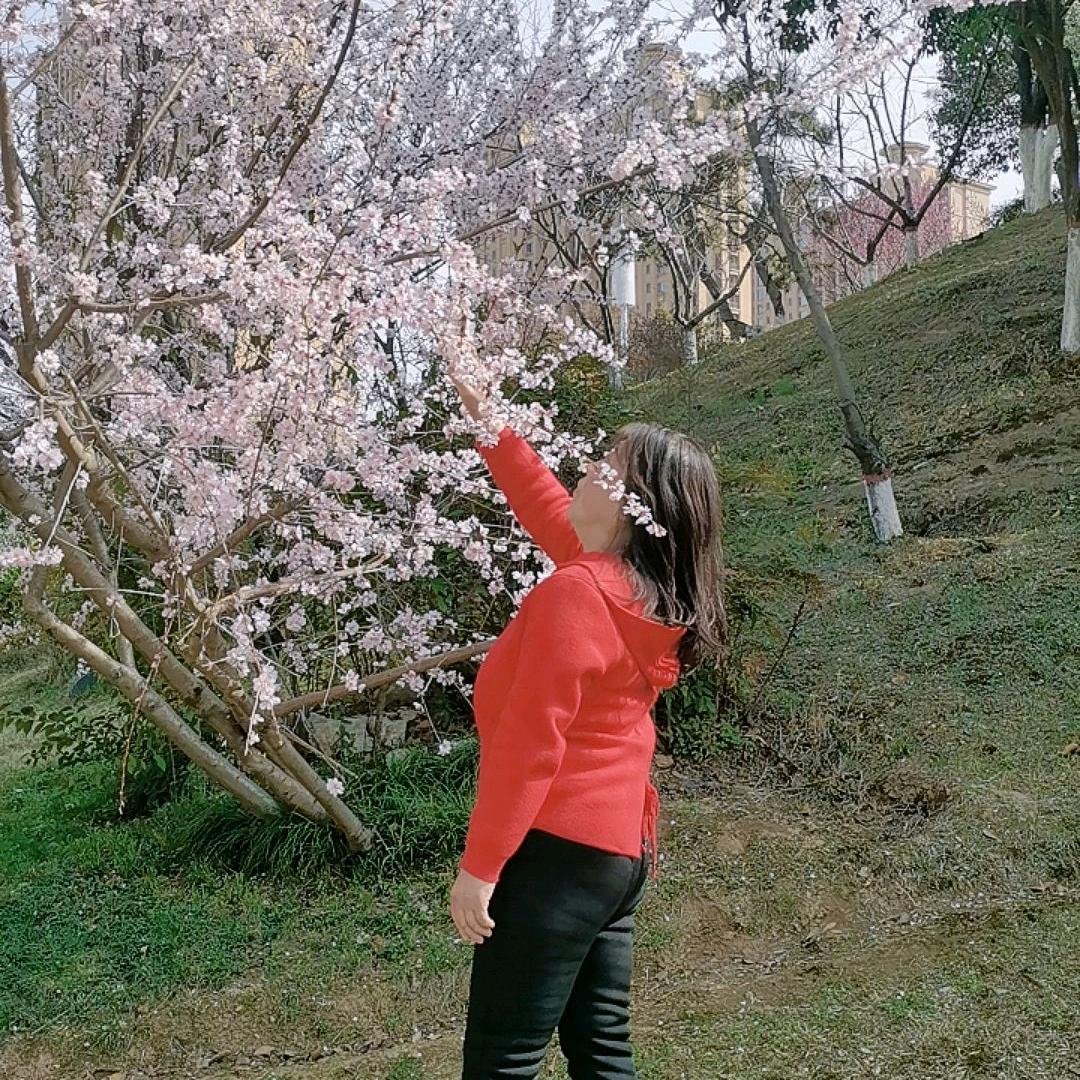 虹草莓酱