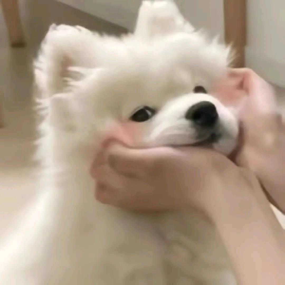 duangduang🥯