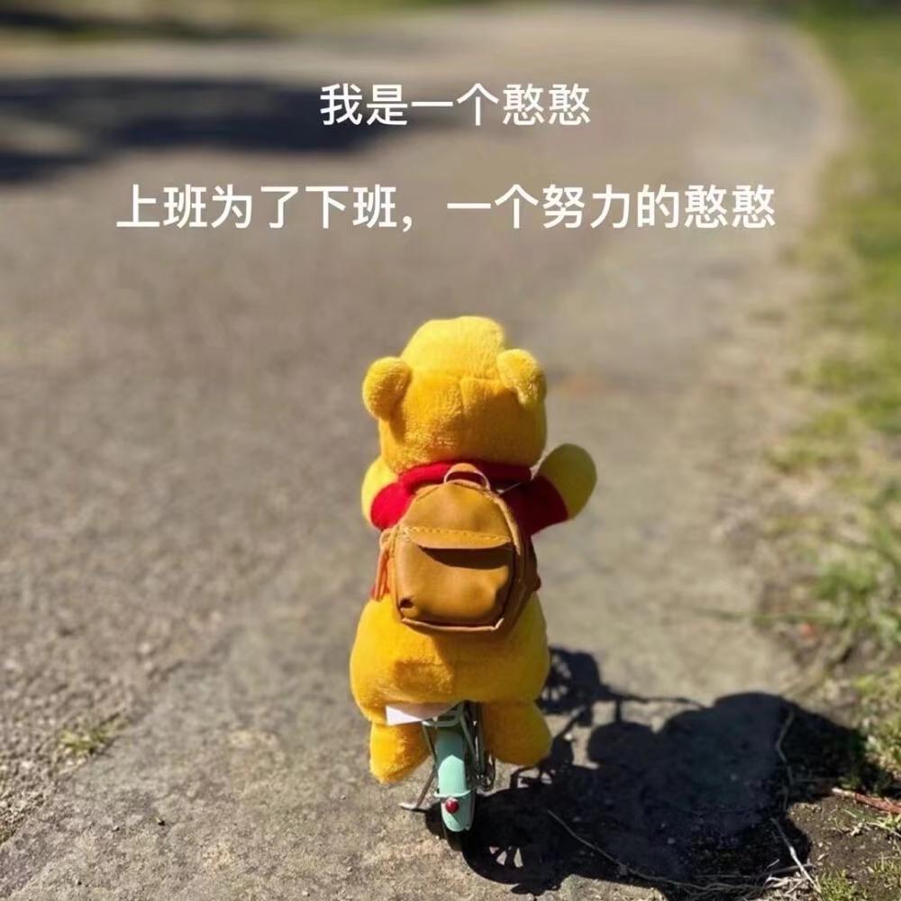 砥砺前行，未来可期