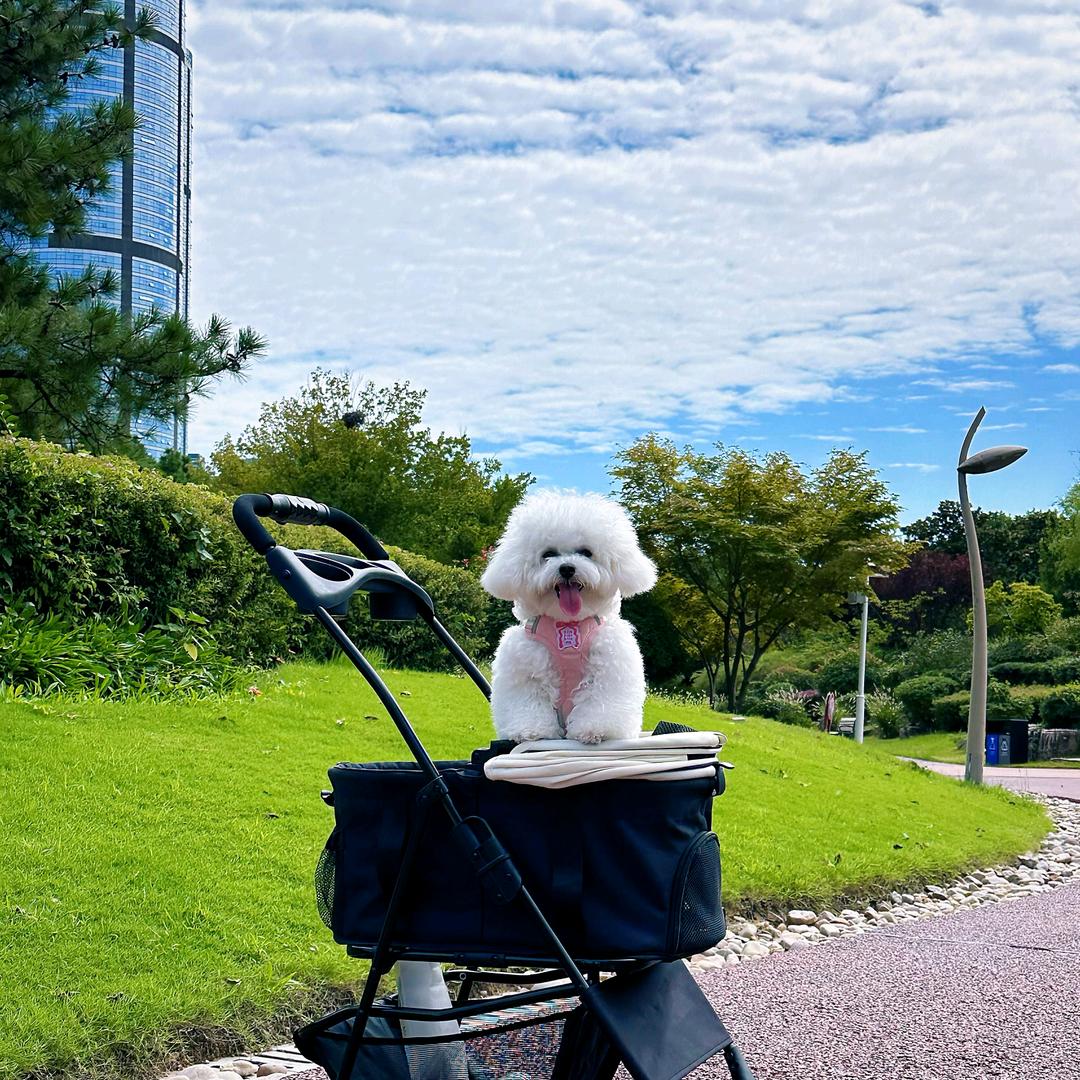 王元宝💞