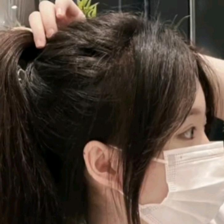 森林迷鹿