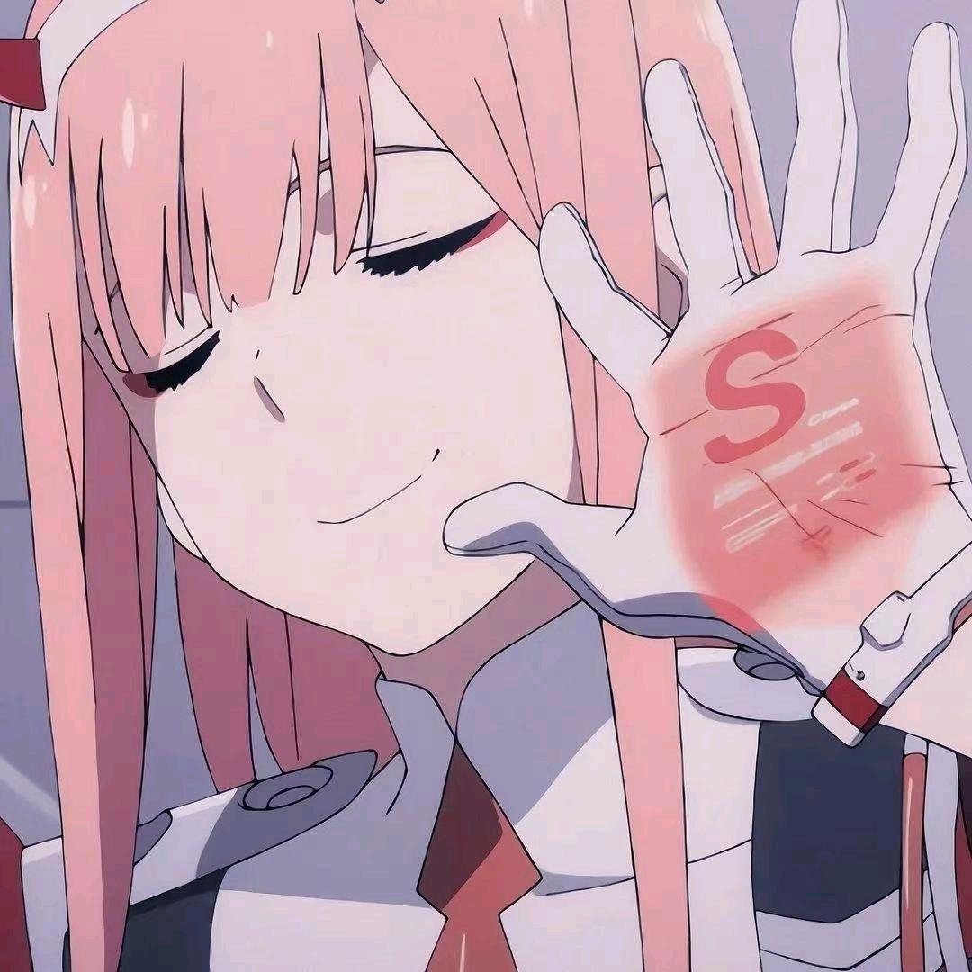 论美貌没输过