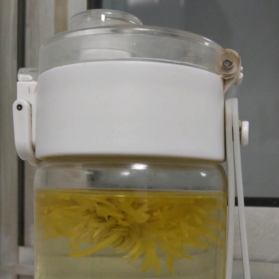 茶花香