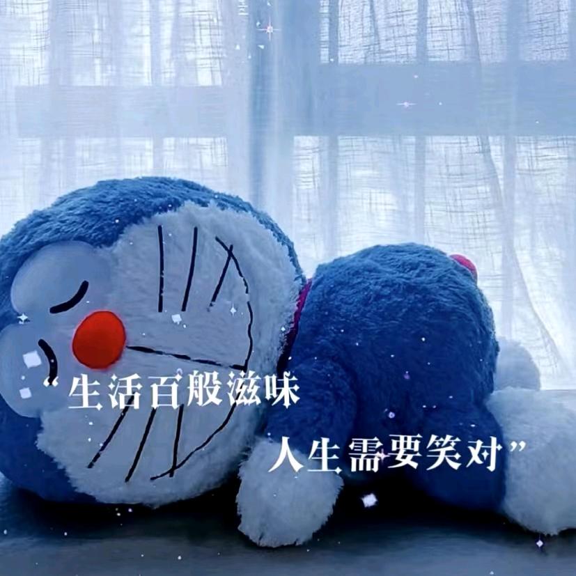 LD双子座
