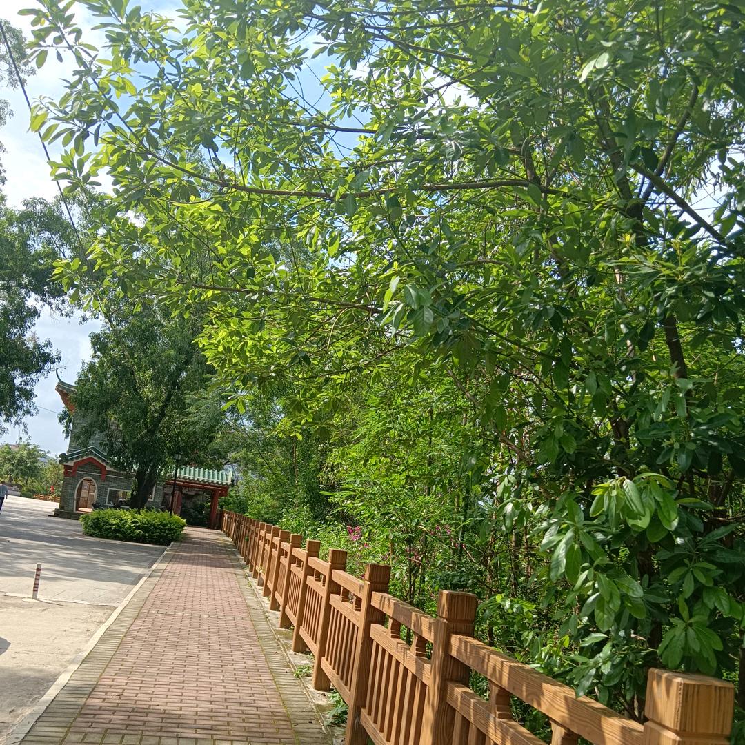 好運來