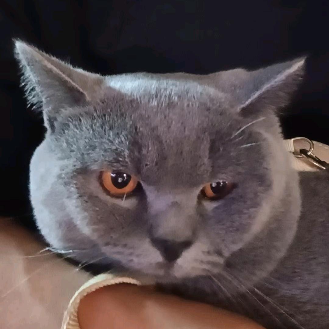 ღ̶釋懷