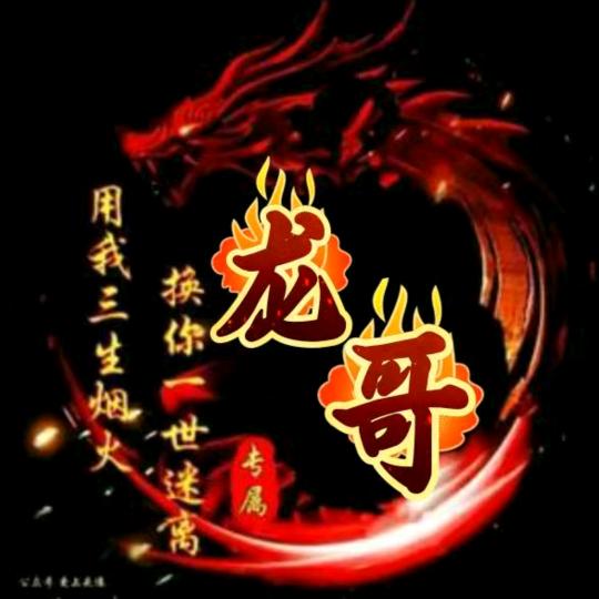 龙哥
