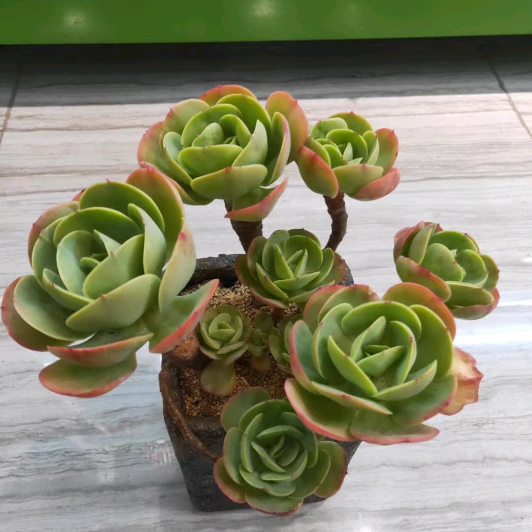 一路有你