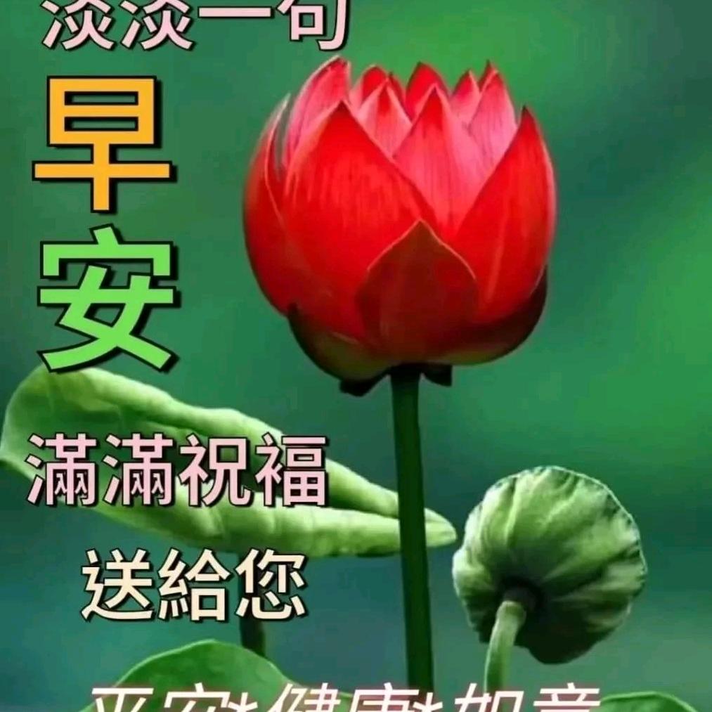 春嗳花开