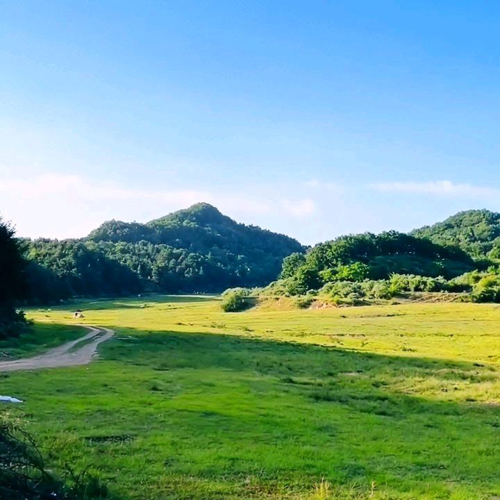 💞橙子