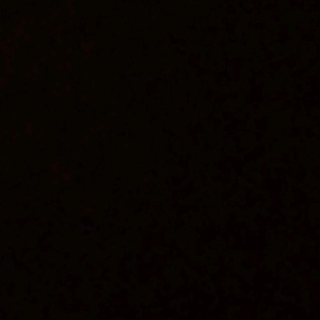 ＇