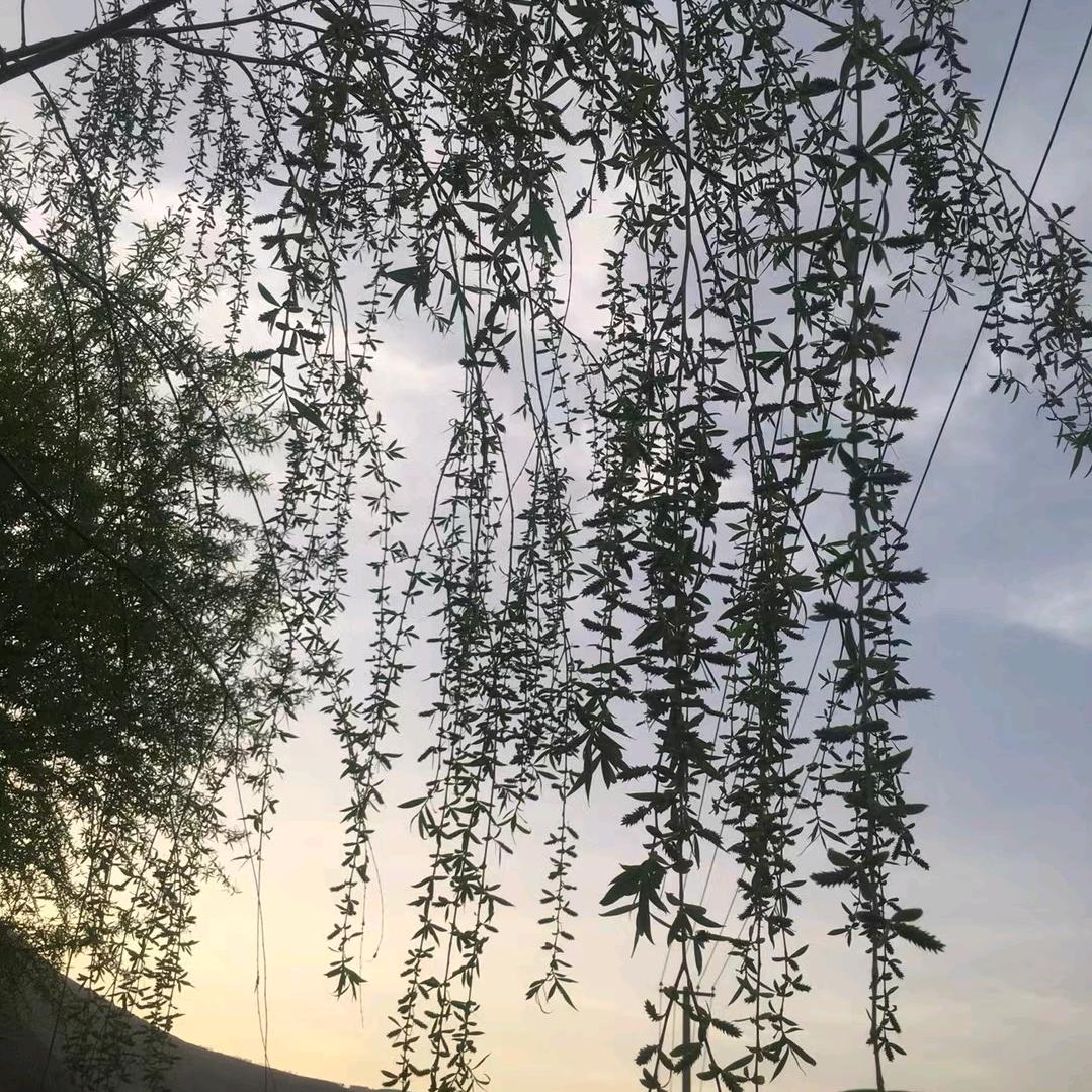 在路上