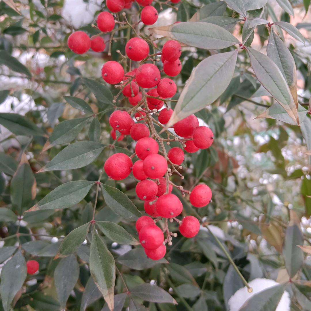 春花秋月、向阳而生！！