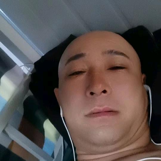 毛毛虫，掉毛毛