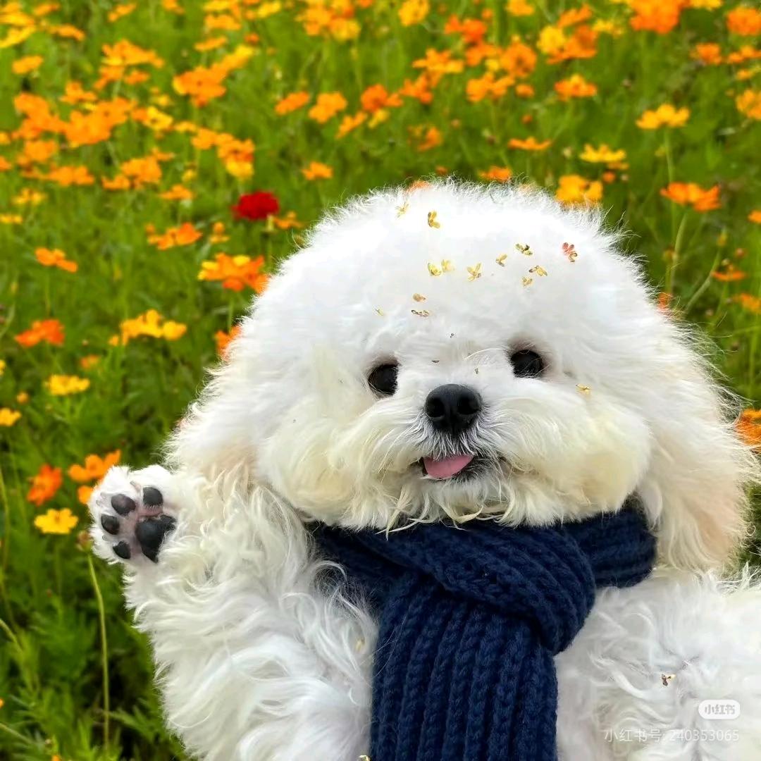 嘻嘻哈哈过大年！