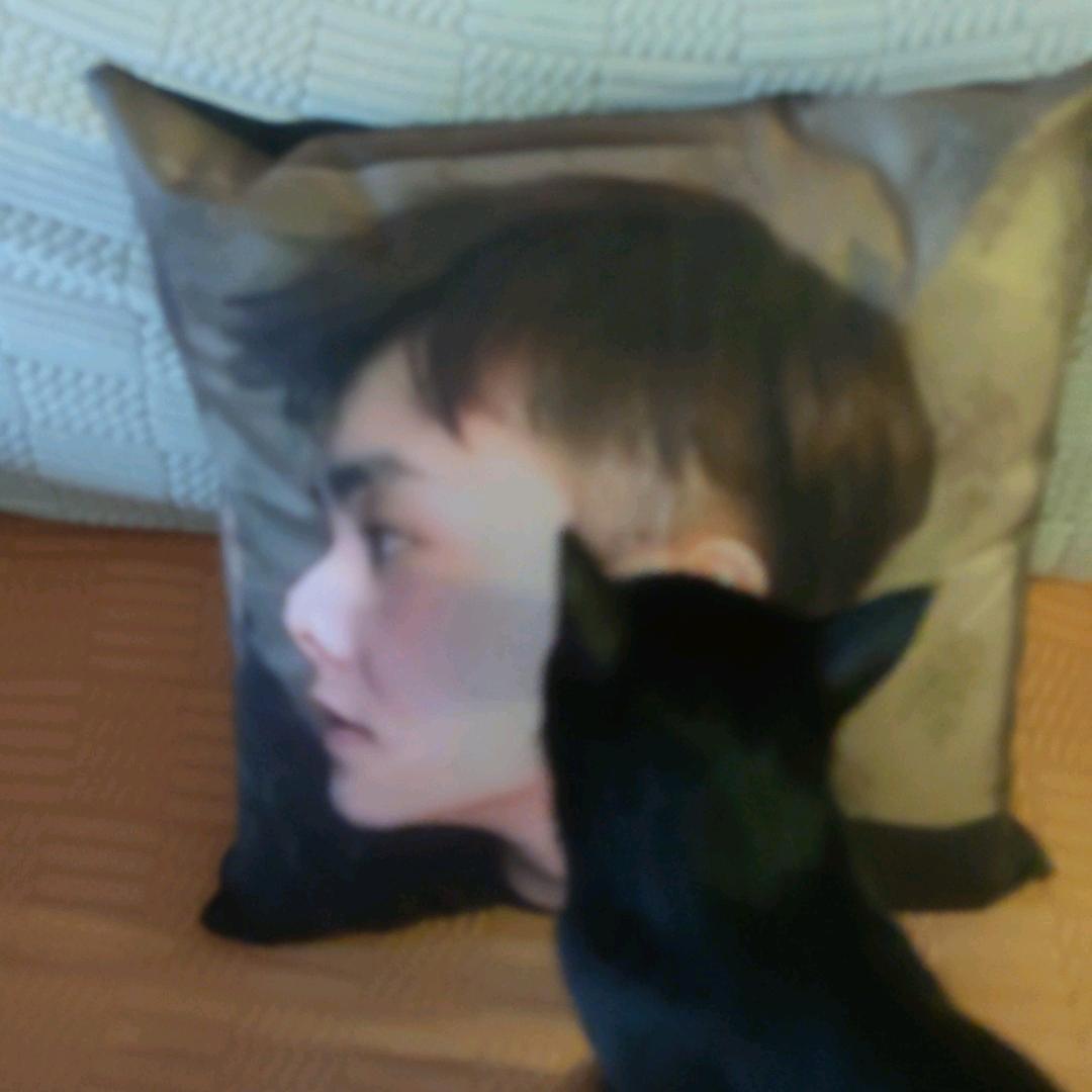 🐟夜猫子