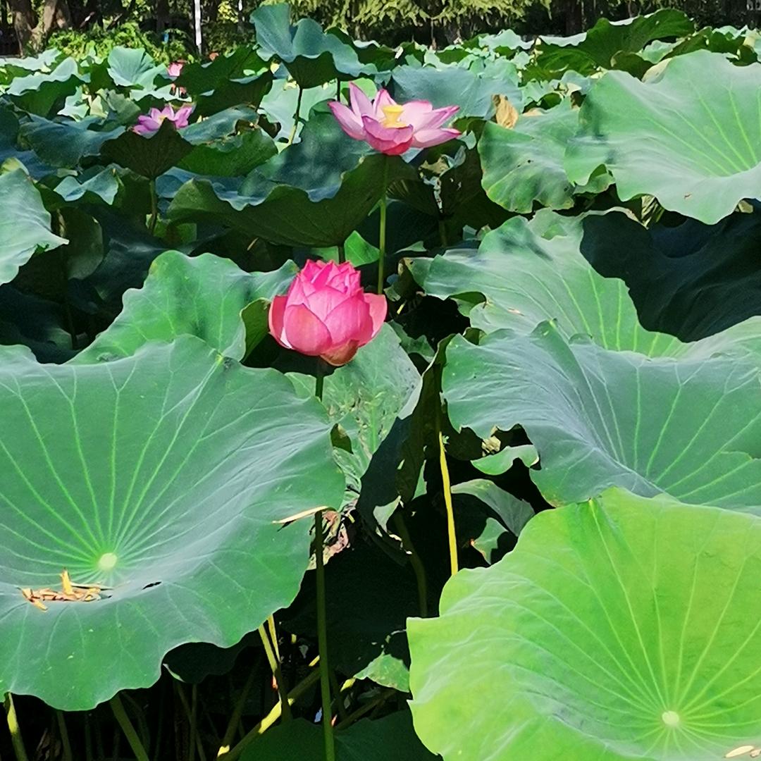 爱生活