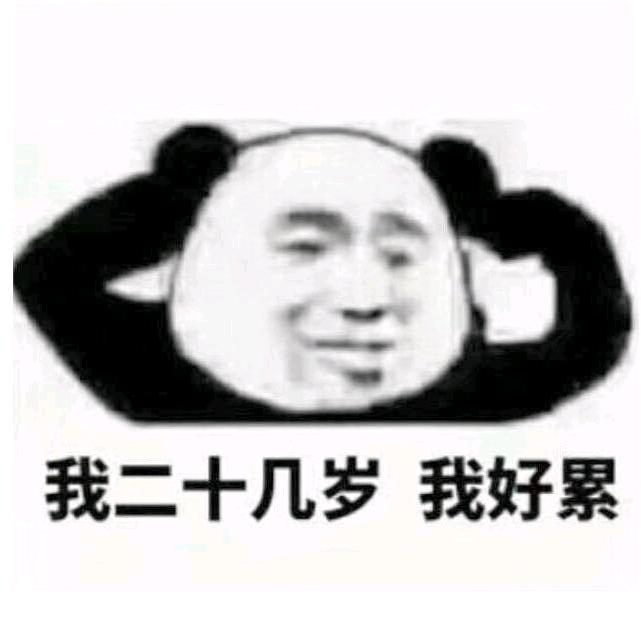 伽强同学〖金包银〗