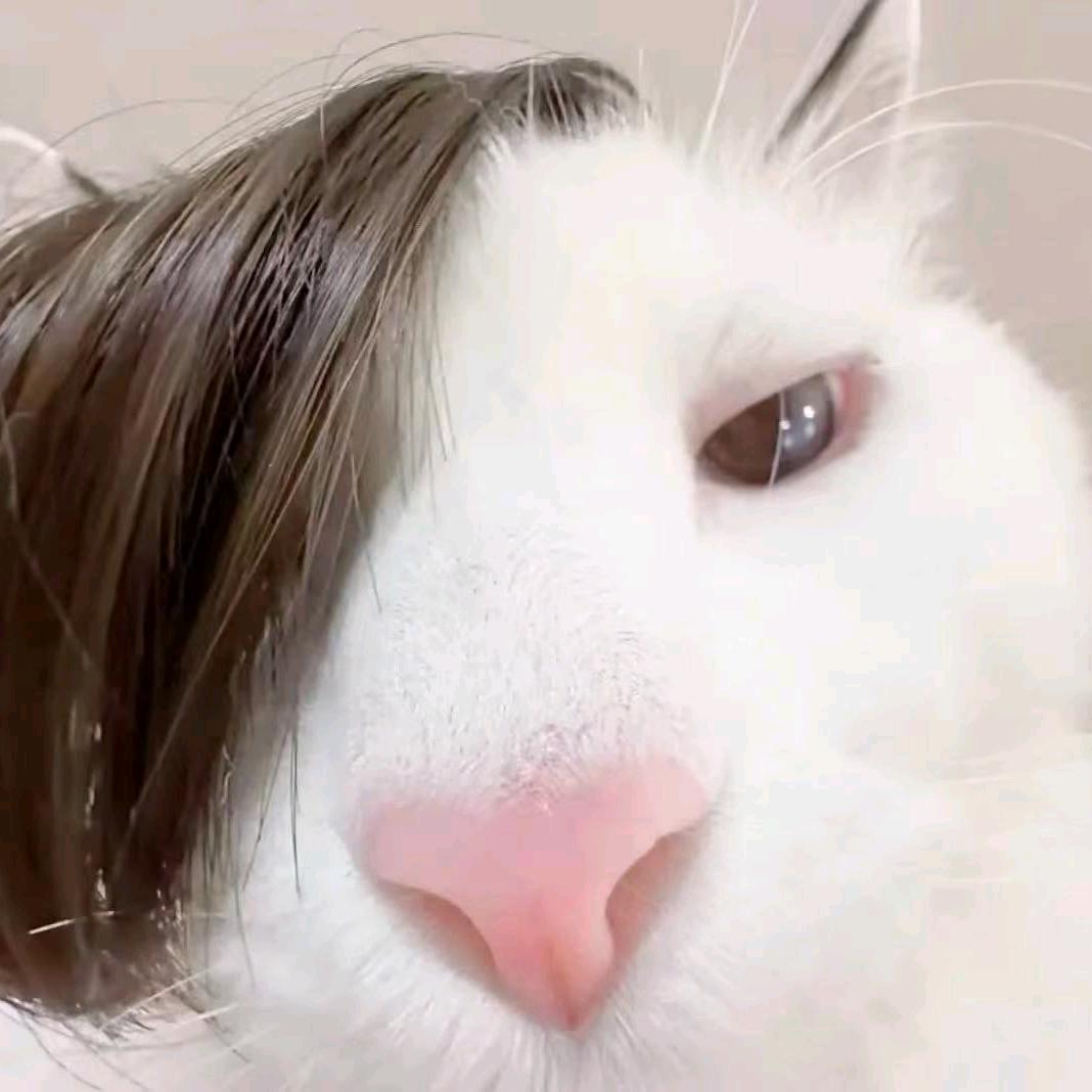 'b