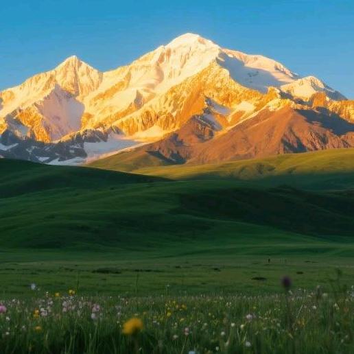 攻城狮🦁️阿骆🇨🇳