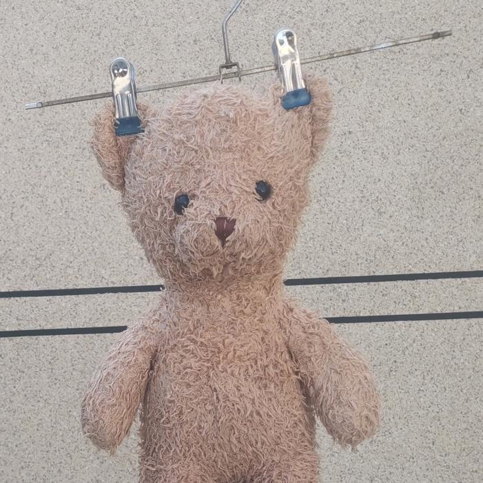 爱吃香菜和辣椒