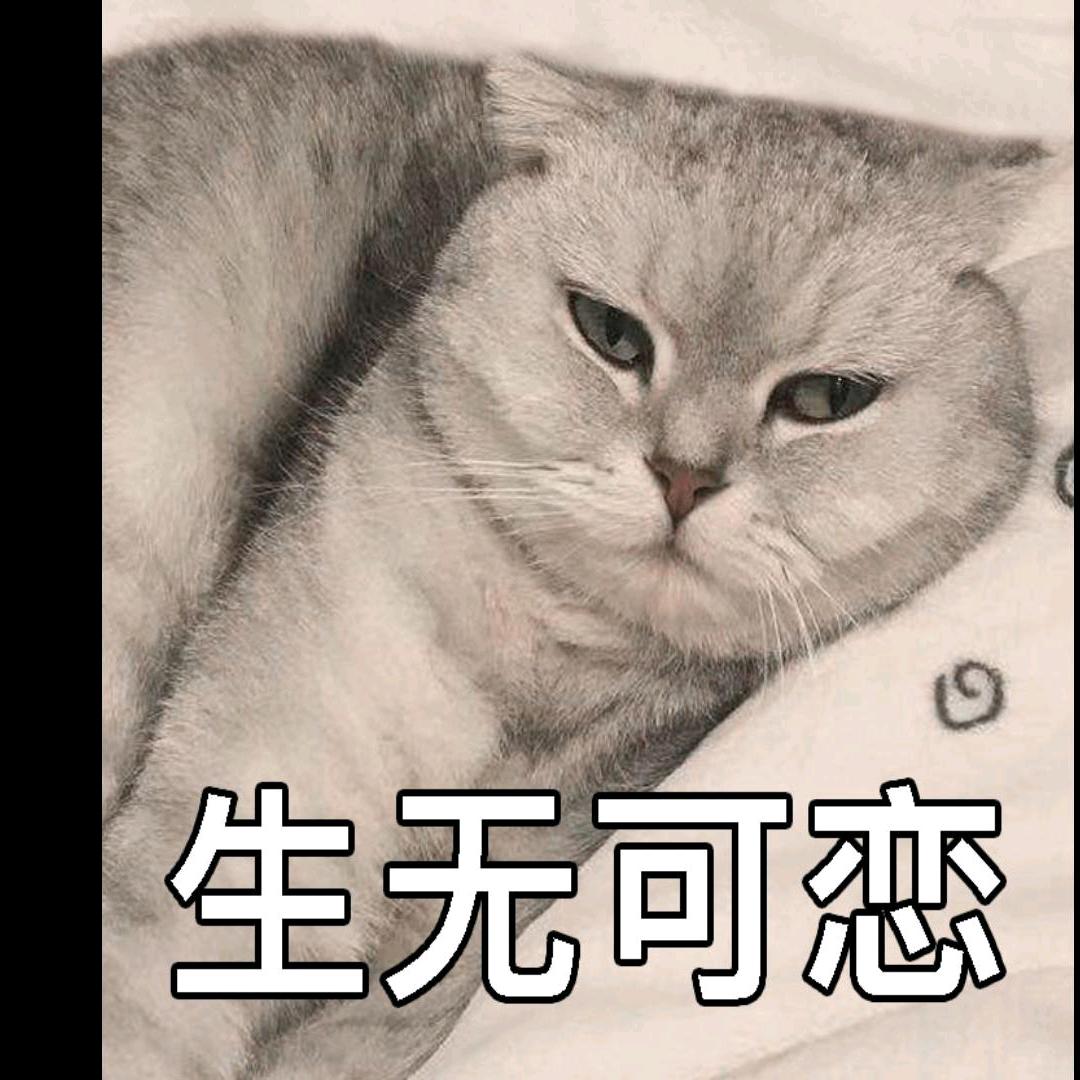 泉北老六